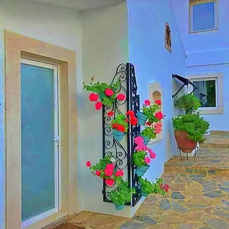 Bed & Breakfast Strelitzia - Quinta Casalinho Da Azenha Sintra