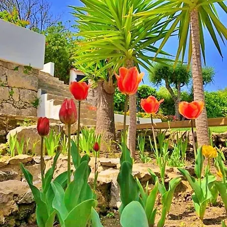Bed & Breakfast Strelitzia - Quinta Casalinho Da Azenha *