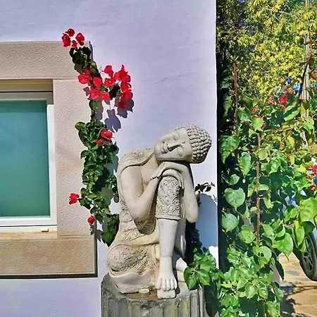 Bed & Breakfast Strelitzia - Quinta Casalinho Da Azenha